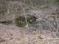 mill site finds 024.webp