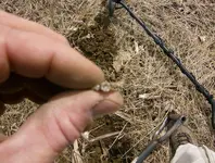 field and mill sites 001.webp