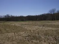 field and mill sites 002.webp