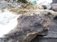 100_9579.webp