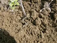 field and mill sites 003.webp