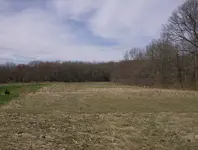 field and mill sites 007.webp