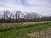 field and mill sites 009.webp