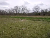 field and mill sites 018.webp