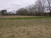field and mill sites 024.webp