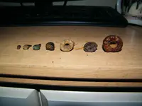 DSCF5433.webp
