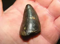 DSCF1326.webp