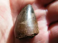DSCF4255.webp