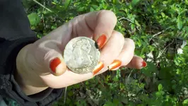lisa coin 2.webp