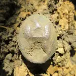 2013 04 29_6017_edited-1.webp