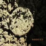 2013 04 29_6014_edited-1.webp