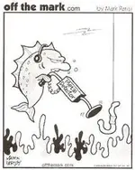 fish.webp
