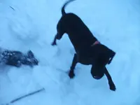 DSCF2841.webp