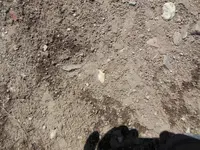 DSCN0472.webp