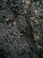 20130523_165504_resized.webp