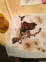 image-1105103308.webp