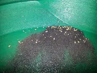 thisweeksgold.webp