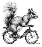 bikesquirrel-e1293756892565.webp