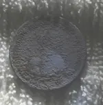 holed guy with backpack half dollar iszed.webp