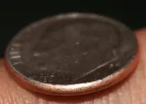 No ridge dime.webp