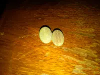 IMG01036-20130422-2255.webp
