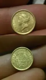 gold coin.webp