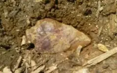 0603121052.webp