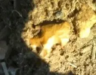 0603121112.webp