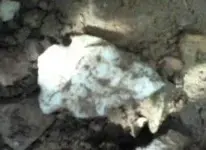 0905121526.webp