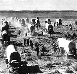 wagon-train.webp wagon-train.webp