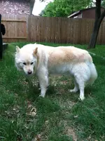 Sasha May 02 2013.webp