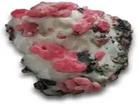 images (10)_640x480.webp