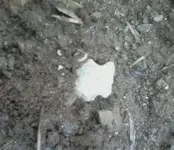 0518111825_0001.webp