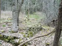 100_2552.webp