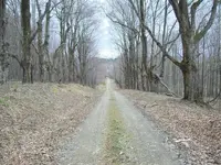 100_2554.webp