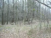 100_2555.webp