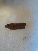 image-2216585623.webp