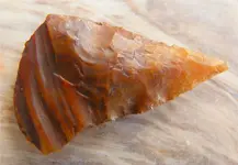 UntitledMA29725917-0009.webp