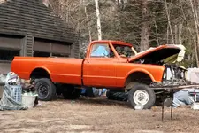 LONGHORN 015.webp