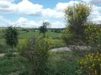 1CIMG5037.webp 1CIMG5037.webp