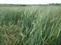 2CIMG5039.webp 2CIMG5039.webp
