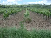 3CIMG5040.webp 3CIMG5040.webp