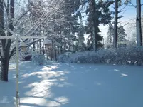 Snow2.webp