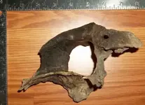 100_2761 (800x581).webp 100_2761 (800x581).webp