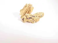 Horse Nugget.webp