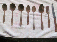spoons4.gif spoons4.gif