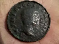 Nero au 1.webp