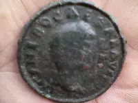 Nero av 2.webp