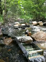 image-1178508094.webp