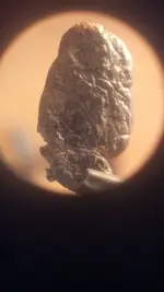 front1.webp